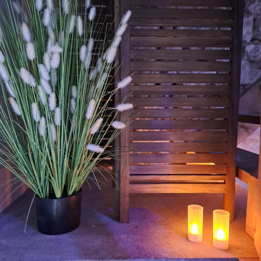 Ba'Cam Spa Panzió Etigny Kültér fotó